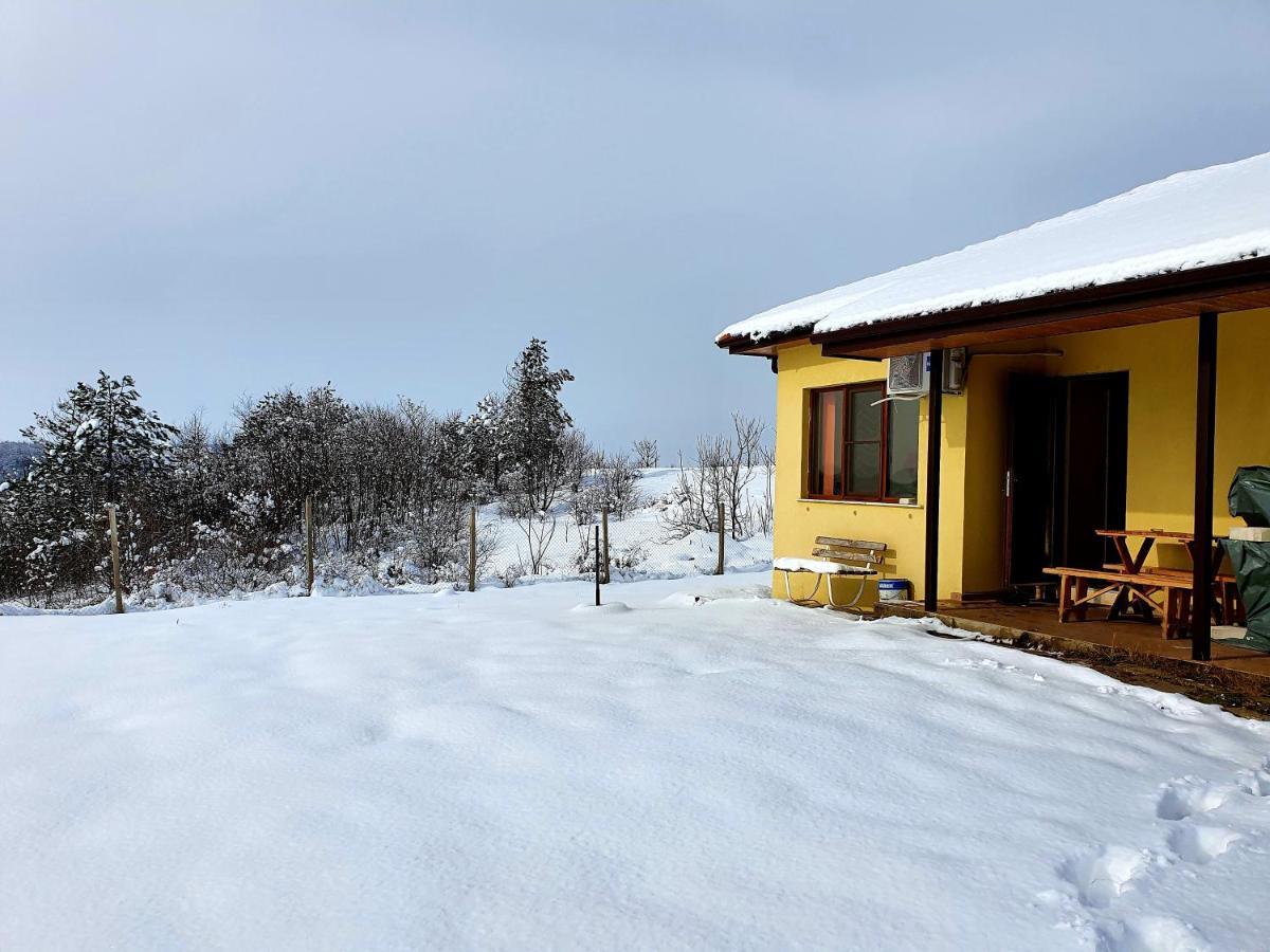 Malavi Guest House Krasen! Comfort&Clean! Exteriör bild